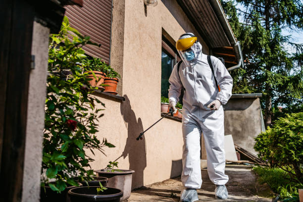 Best Bed Bug Extermination  in Lexington, OH