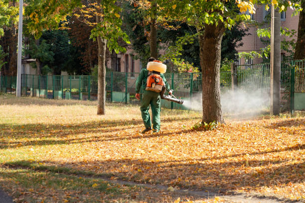 Reliable Lexington, OH Pest Control Solutions