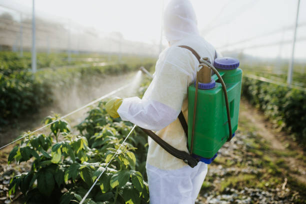 Insect Control in Lexington, OH